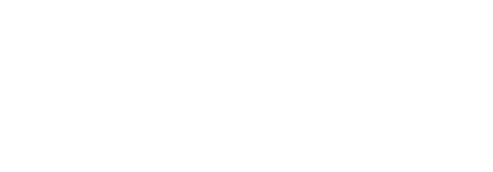 Human-Datis-Blanc-Logo