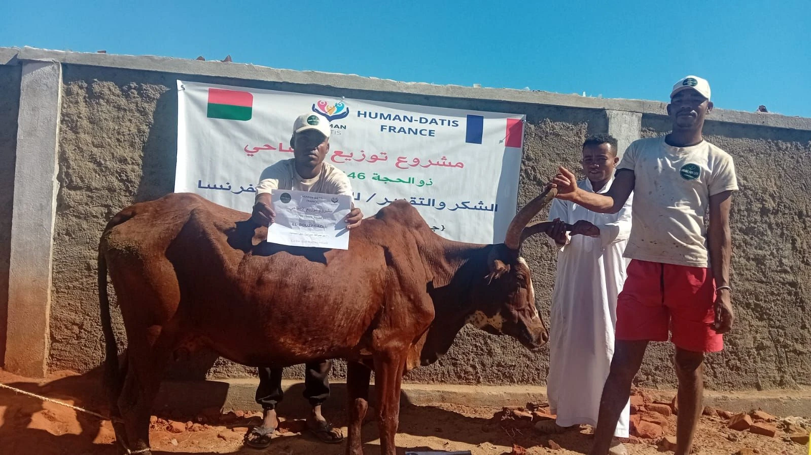 aid al adha buffle
